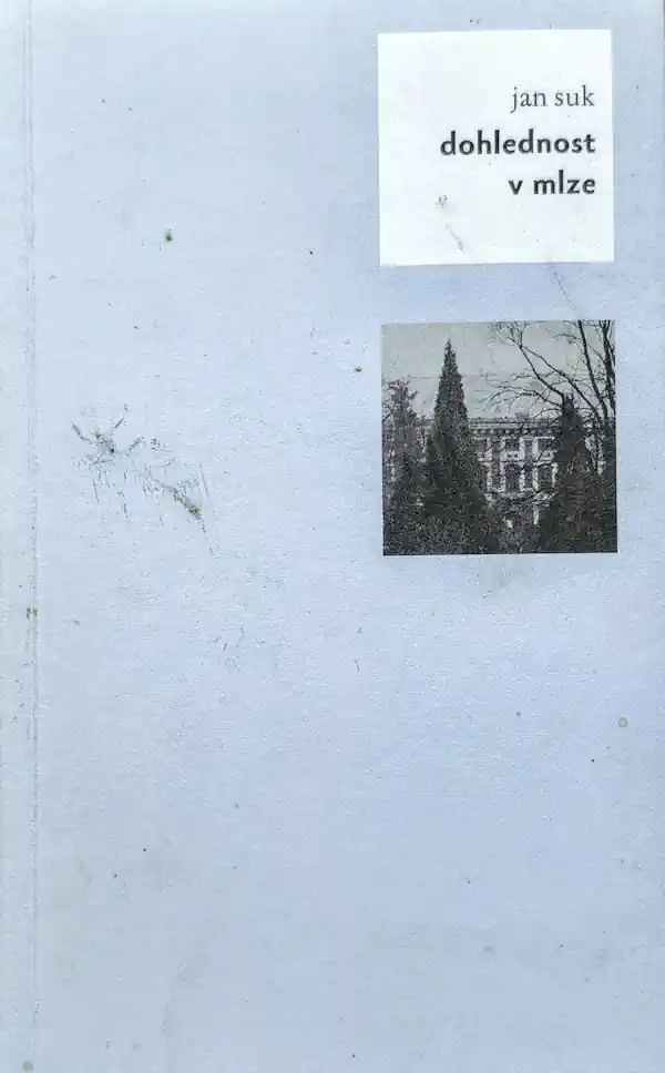 Dohlednost v mlze