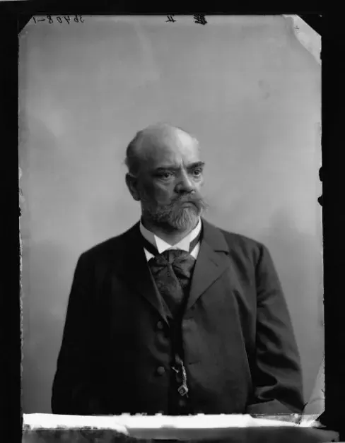 Antonín Dvořák, portrét